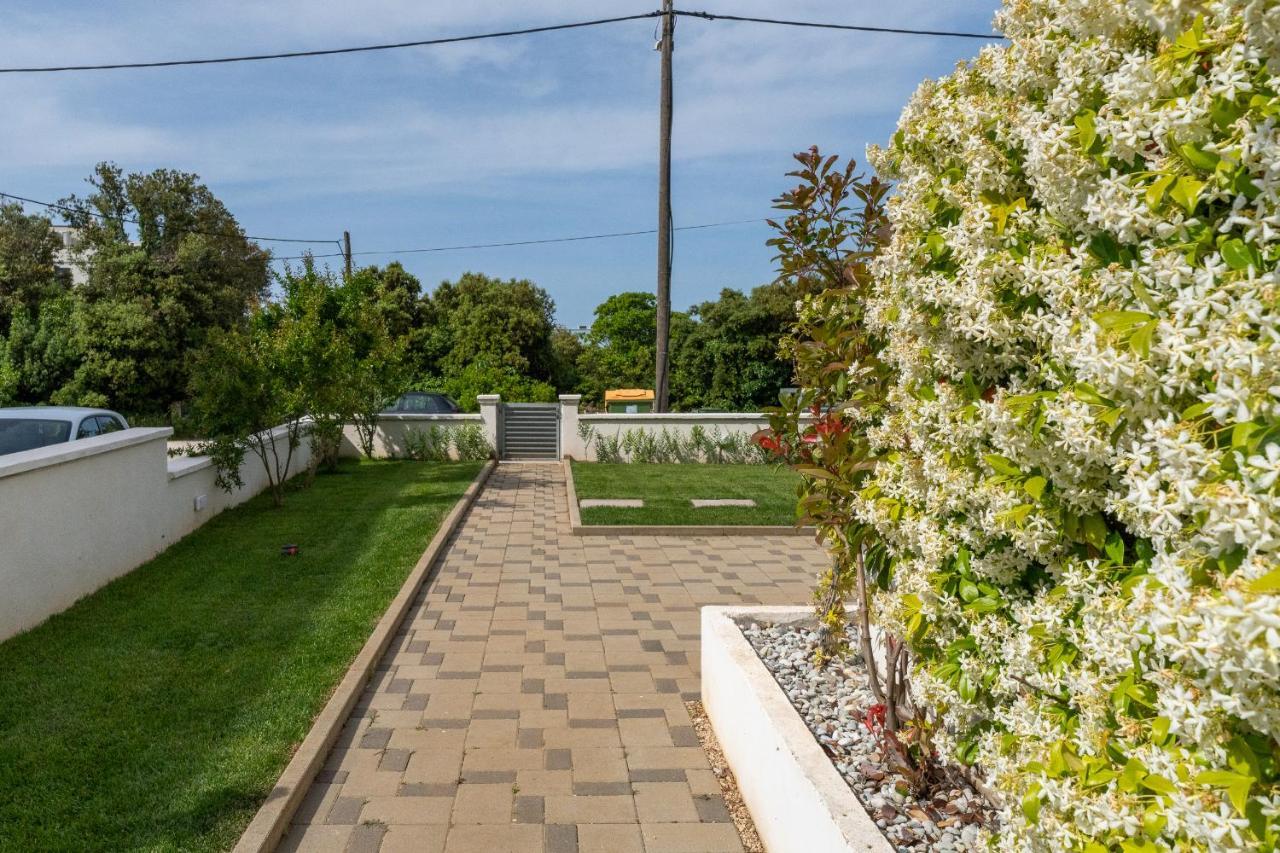 Villa Mirela Petrčane Dış mekan fotoğraf